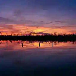 苏州 同城榜 Profile