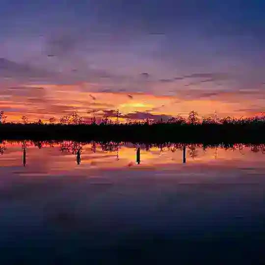 苏州 同城榜 Profile