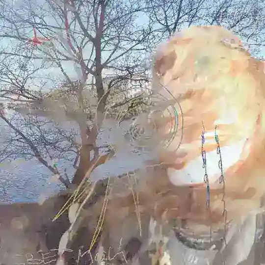 свет мой