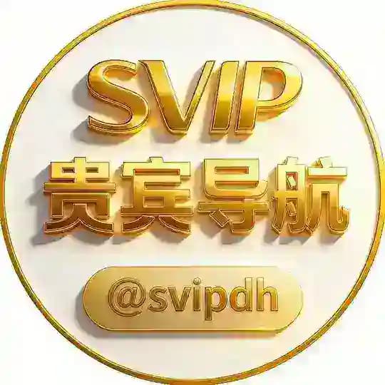 贵宾集团导航 @svipdh