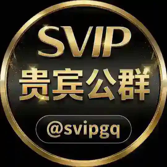 贵宾公群 @svipgq