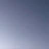 SWARM PORTAL