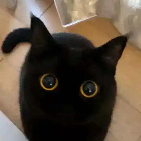 正经人谁写日记啊