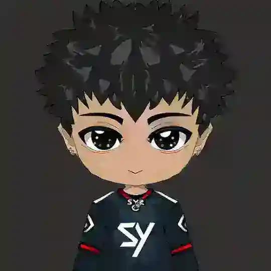 SY Plays