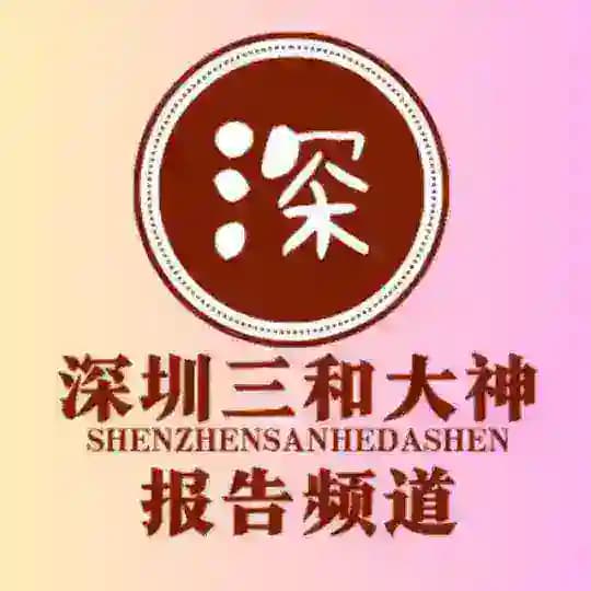 深圳三和修车大队-【报告】
