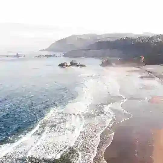 阿震🫰医保套现信用卡花呗白条借款 Profile