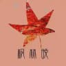深圳枫林榜🍁