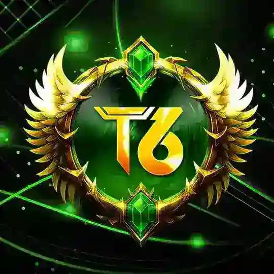 T6 Indonesia 🇮🇩 Profile