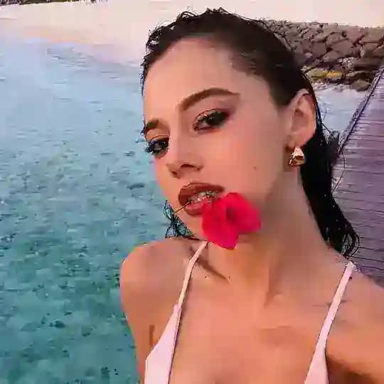 Taanni