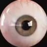 el ojo