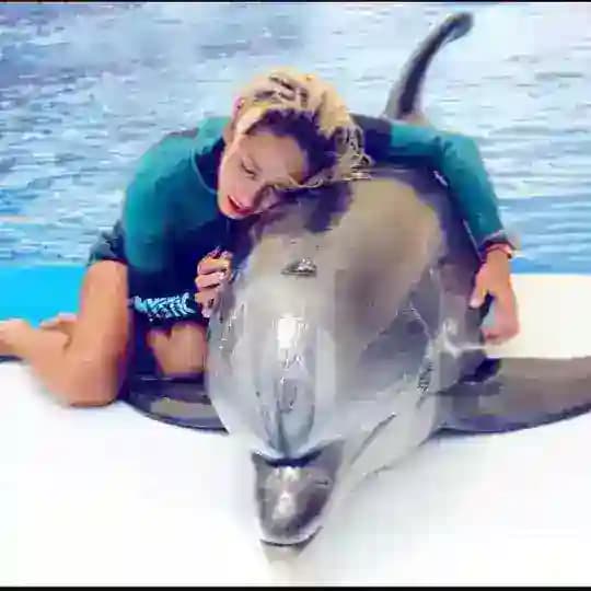 Dolphin.tami