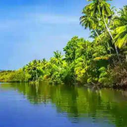 🌈 Tamil Nature Video & Song🍀 Profile