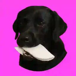 Tapioca Normal Profile