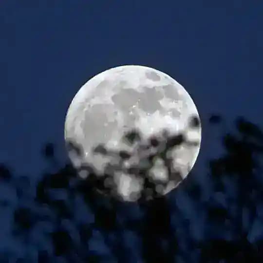 تاریک