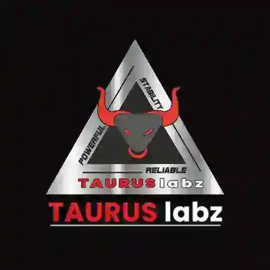 TAURUS LABZ INDIA