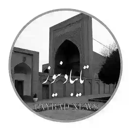 تایباد نیوز