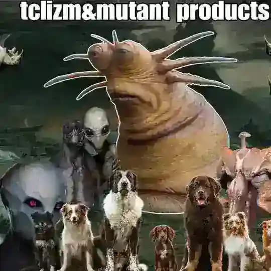 Тцлизьм