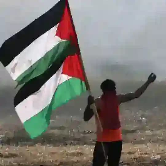 مجموعة دعم المحتوى Profile