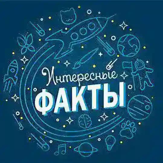 TFP - Интересные факты