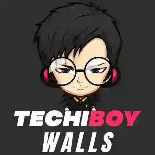TechiBoyWalls