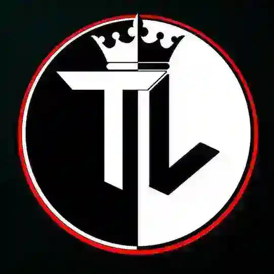 Technical Lotif Profile