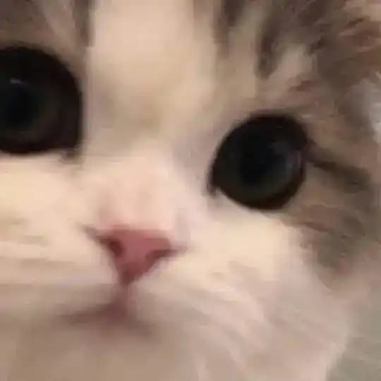 тэжа что-то вещает