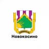Новокосино