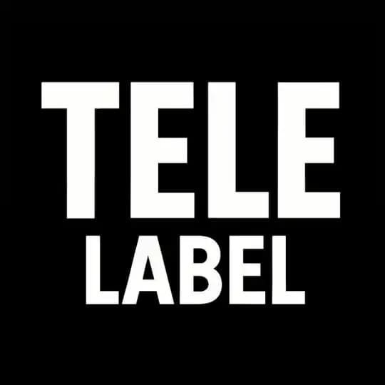 TELELABEL | تولید و پخش ست هودی و دورس