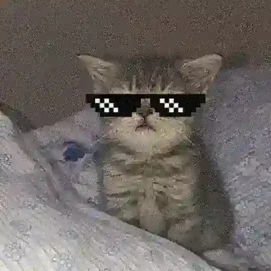 چیزمیز🌀