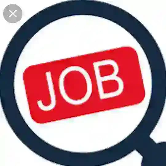 Temp Jobs Market