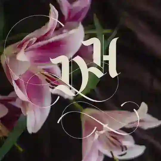 💌DEVOTEE OF THE HEART