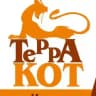 Терракот