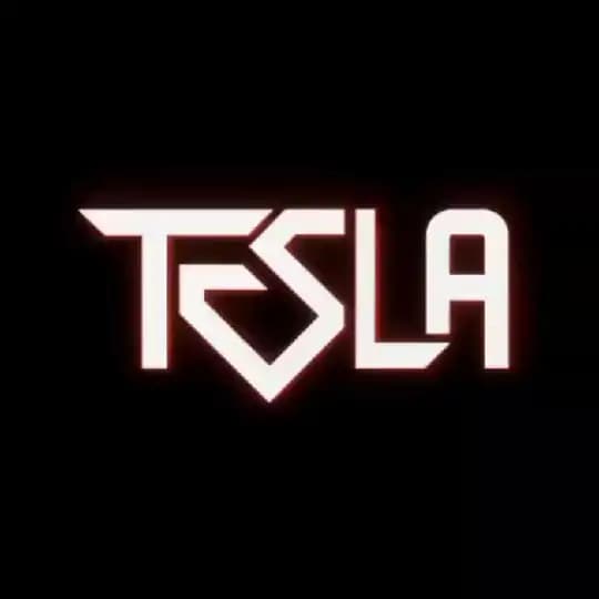ربات سلف تسلا | خرید سلف | Selftesla