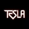 ربات سلف تسلا | خرید سلف | Selftesla