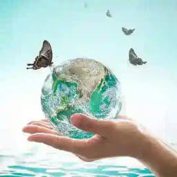 🇺🇿 𝙏𝙀𝙎𝙏 𝘽𝘼𝙕𝘼 🇺🇿 Profile