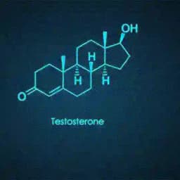 TESTOSTERONA Profile