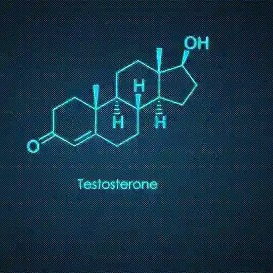 TESTOSTERONA