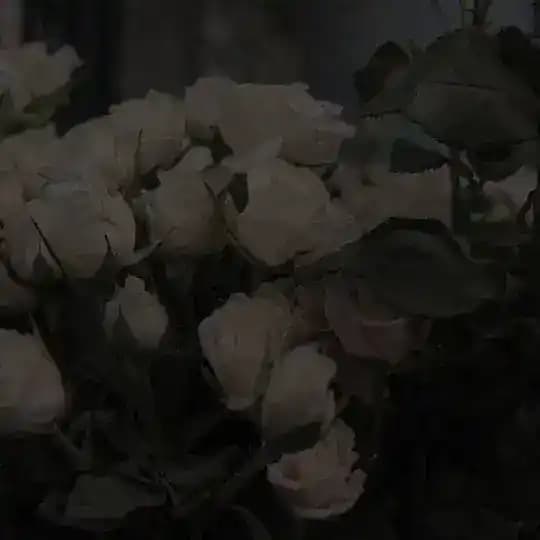 уголок уюта❤️