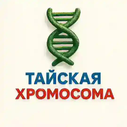 🇹🇭Тайская Хромосома - Пхукет | Паттая | Бангкок