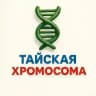 🇹🇭Тайская Хромосома - Пхукет | Паттая | Бангкок