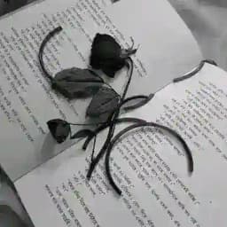 Caption ✍️ [ শেষ কাব্য ] 💙🦋 Profile