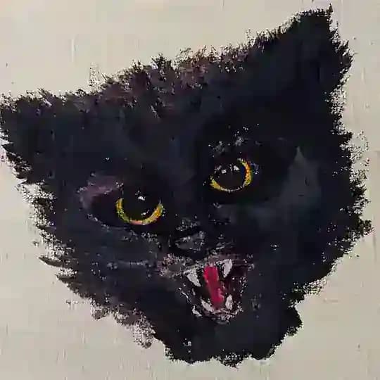 Паштет 🇺🇦 Profile