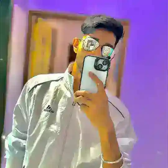 The_Stylo