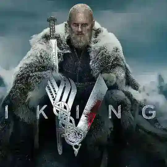 THE VIKINGS Profile