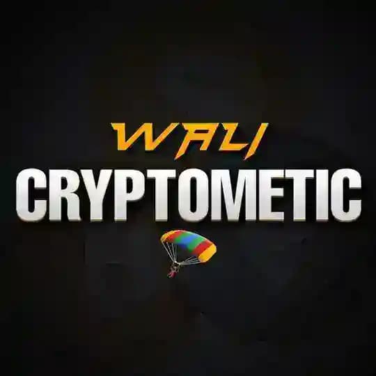 Wali Cryptometic
