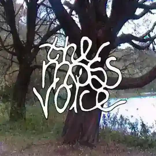 the moss voice