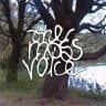 the moss voice
