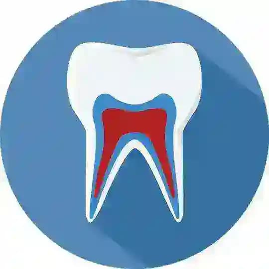 TerStom | Терапевтическая стоматология