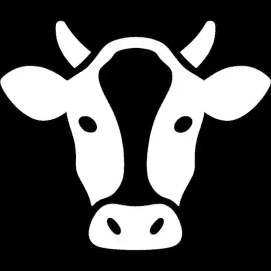 COWS🐮