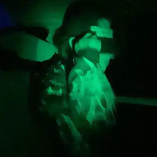 LP ⁰⁰⁶ Profile